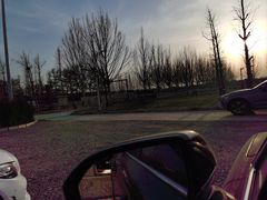 -北京群众马术培训基地