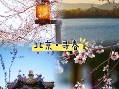 -颐和园
