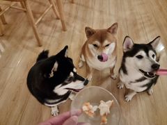 -柴の食堂·日式家庭料理·熊之肆(大学路店)
