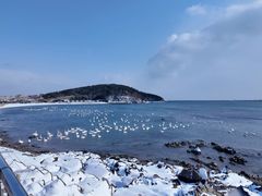 -烟墩角天鹅湖