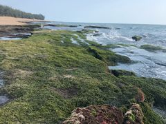 -叶姐海鲜(棋子湾店)