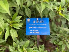 -中国科学院西双版纳热带植物园