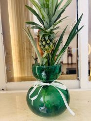 -闺蜜瑜伽·普拉提女性塑形馆