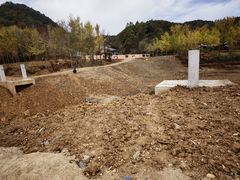 -千年银杏谷文化旅游区