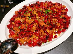 歌乐山辣子鸡-蜀国演义(黄寺大街店)