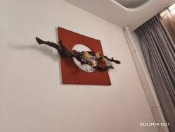 -丹漪·DANYI 美肤中心