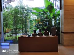 -九华山聚龙大酒店