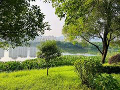 -飞来湖湿地公园