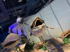 -中国（海南）南海博物馆