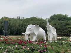 -廊坊市自然公园