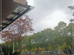 -聚鑫阁·非遗传承江浙菜(正阳店)