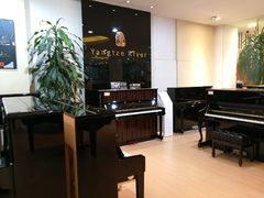-柏斯琴行(汾阳店)