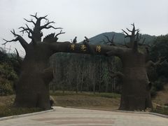 -梅岭月亮湾山体公园