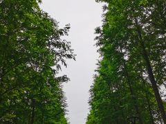 -云碧峰国家森林公园