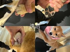 -听TA说宠咖·宠物生活馆(天韵水岸店)