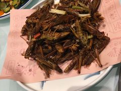 -新海渔港·胶东海鲜家常菜·家宴(奥体中心店)