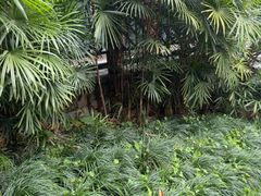 -融汇温泉