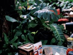 -Fern Forest Cafe
