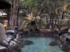 -张家港金凤凰度假村温泉