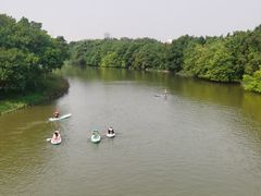 -海珠湖公园