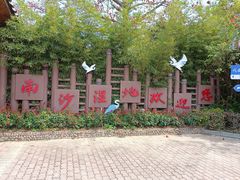 -大湾区中央湿地公园
