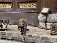 -长春观