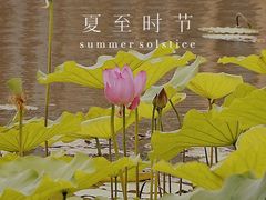 -南翔镇银翔湖公园