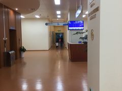-上海市东方医院(总院)