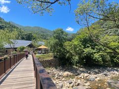-石台牯牛降景区