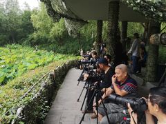 -新江湾城公园