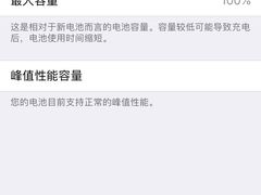 -Apple零售店(中街大悦城店)