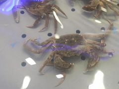 -澜悦港海鲜体验主题餐厅
