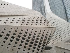 -南京眼步行桥