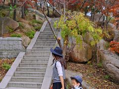 -崂山巨峰游览区