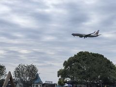 -空港花田景区