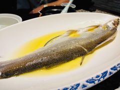 鸡汁白鱼-南京大牌档(南京路世纪都会店)