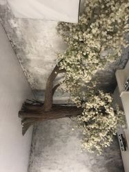 -玛瑞莎·儿童·亲子摄影(越秀店)