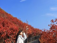 -狼牙山风景区