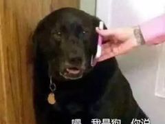 -圣龙馨水匯