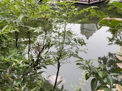 -南京市民俗博物馆(甘熙宅第)