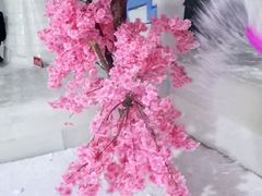 -宁波冰雪大世界(北仑区)