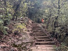 -杭州半山国家森林公园