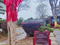 -武汉紫薇都市田园