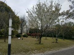 -苏州河梦清园环保主题公园