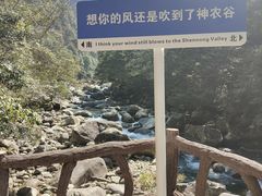 -炎陵县神农谷国家森林公园