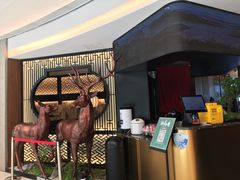 -新白鹿餐厅(虹桥南丰城店)