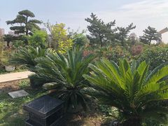 -菊园百果园