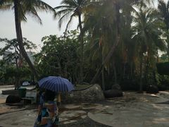 -白沙门生态公园