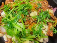 -高第街56号餐厅(银座商城玉函店)