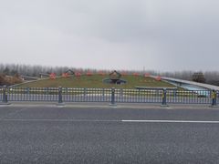 -合肥滨湖国家森林公园